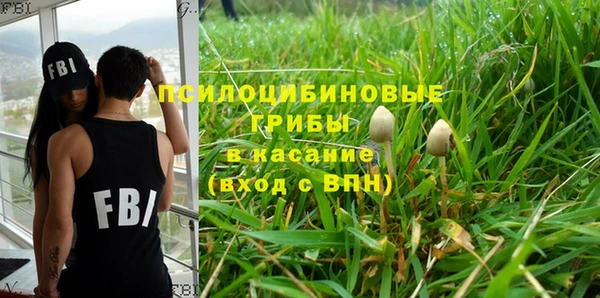 spice Лабытнанги
