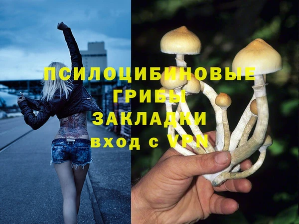 spice Лабытнанги
