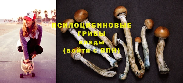 spice Лабытнанги