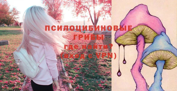 spice Лабытнанги